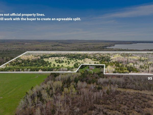 14325 Paradise Lake, Levering, MI 49755