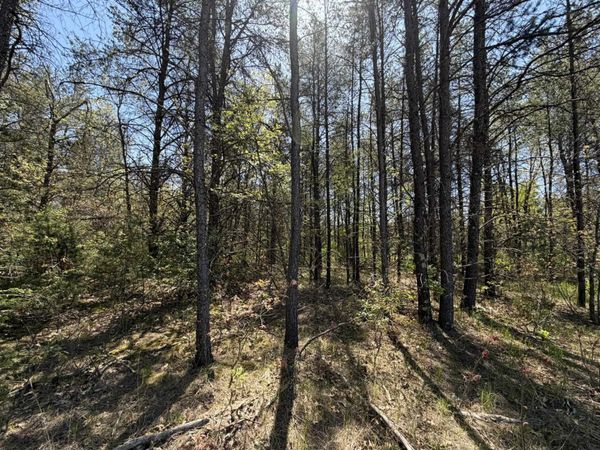 1.52 Acres Queens Way, Necedah, WI 54646