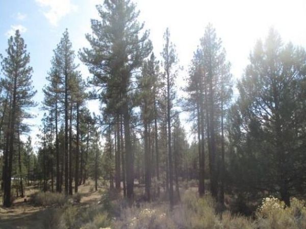 0 Pheasant Lane, Unit 16, Chiloquin, OR 97624