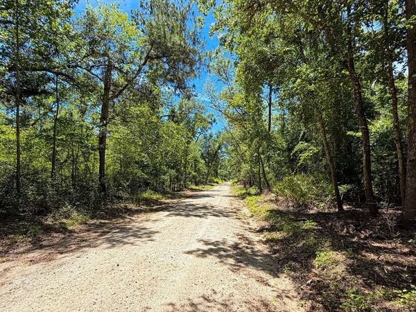 TBA 1 NW KINGS ROAD, Mayo, FL 32066
