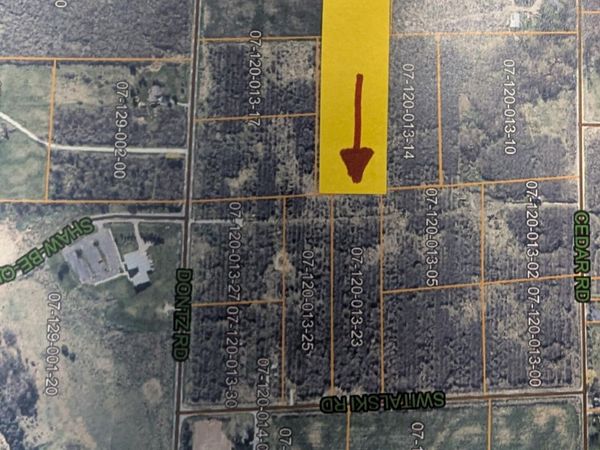 V/L Switalski Road, Manistee, MI 49660