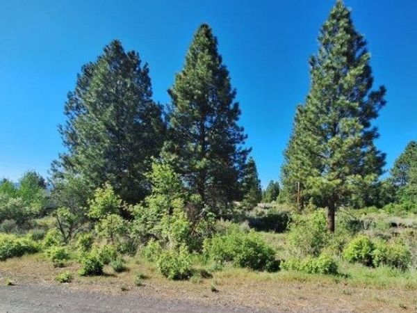 Shoreview Drive, Unit Block 9 Lo, Chiloquin, OR 97624