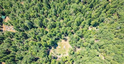 Blackhawk, Foresthill, CA 95631 Photo