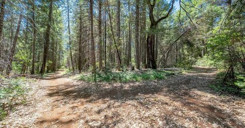 Blackhawk, Foresthill, CA 95631 Photo