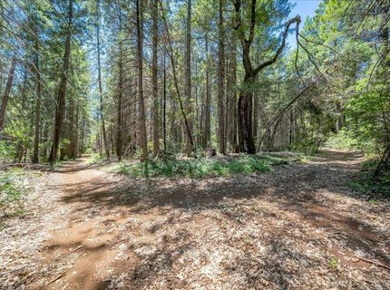Blackhawk, Foresthill, CA 95631 Photo