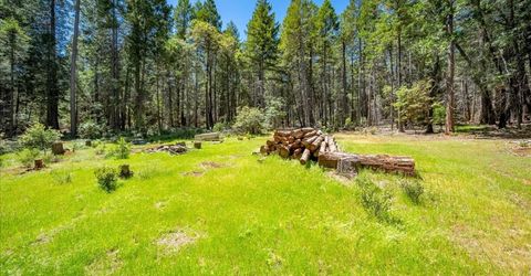Blackhawk, Foresthill, CA 95631 Photo