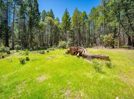 Blackhawk, Foresthill, CA 95631 Photo