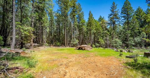 Blackhawk, Foresthill, CA 95631 Photo