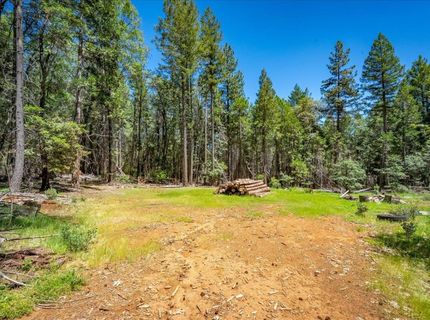 Blackhawk, Foresthill, CA 95631 Photo