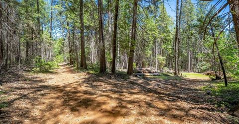 Blackhawk, Foresthill, CA 95631 Photo