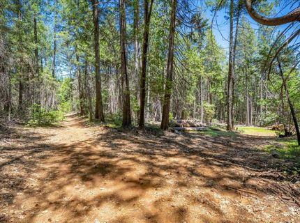 Blackhawk, Foresthill, CA 95631 Photo