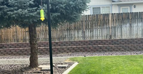 2175 Albatross Way, Spanish Springs, NV 89441 Photo