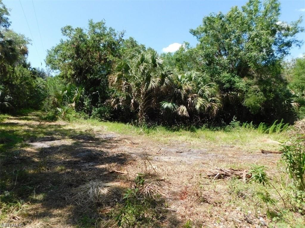 14971 Duke Hwy , Alva, FL 33920 Photo