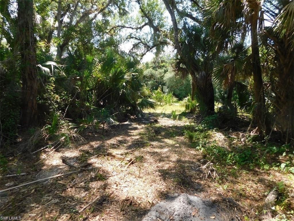 14971 Duke Hwy , Alva, FL 33920 Photo