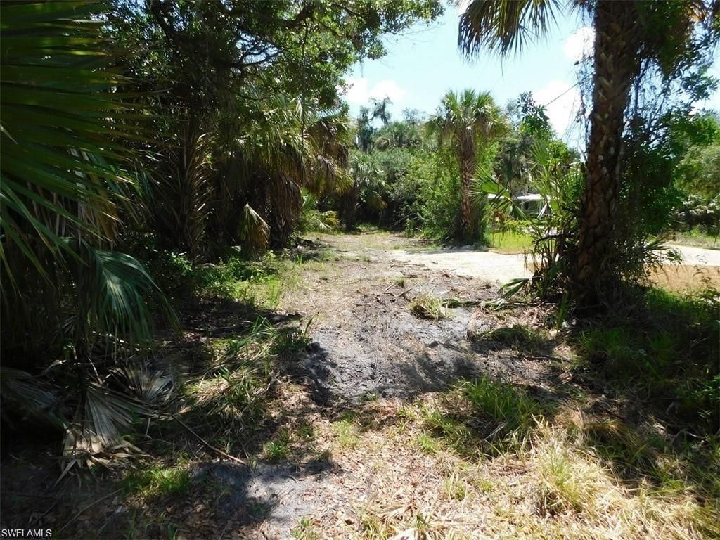 14971 Duke Hwy , Alva, FL 33920 Photo