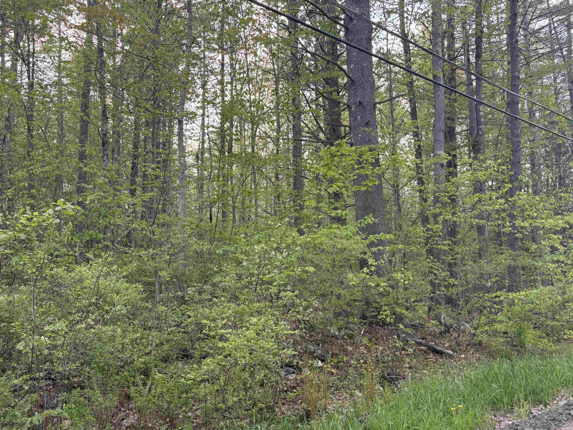 Lot 80 Currier Road, Candia, NH 03034 Main Photo