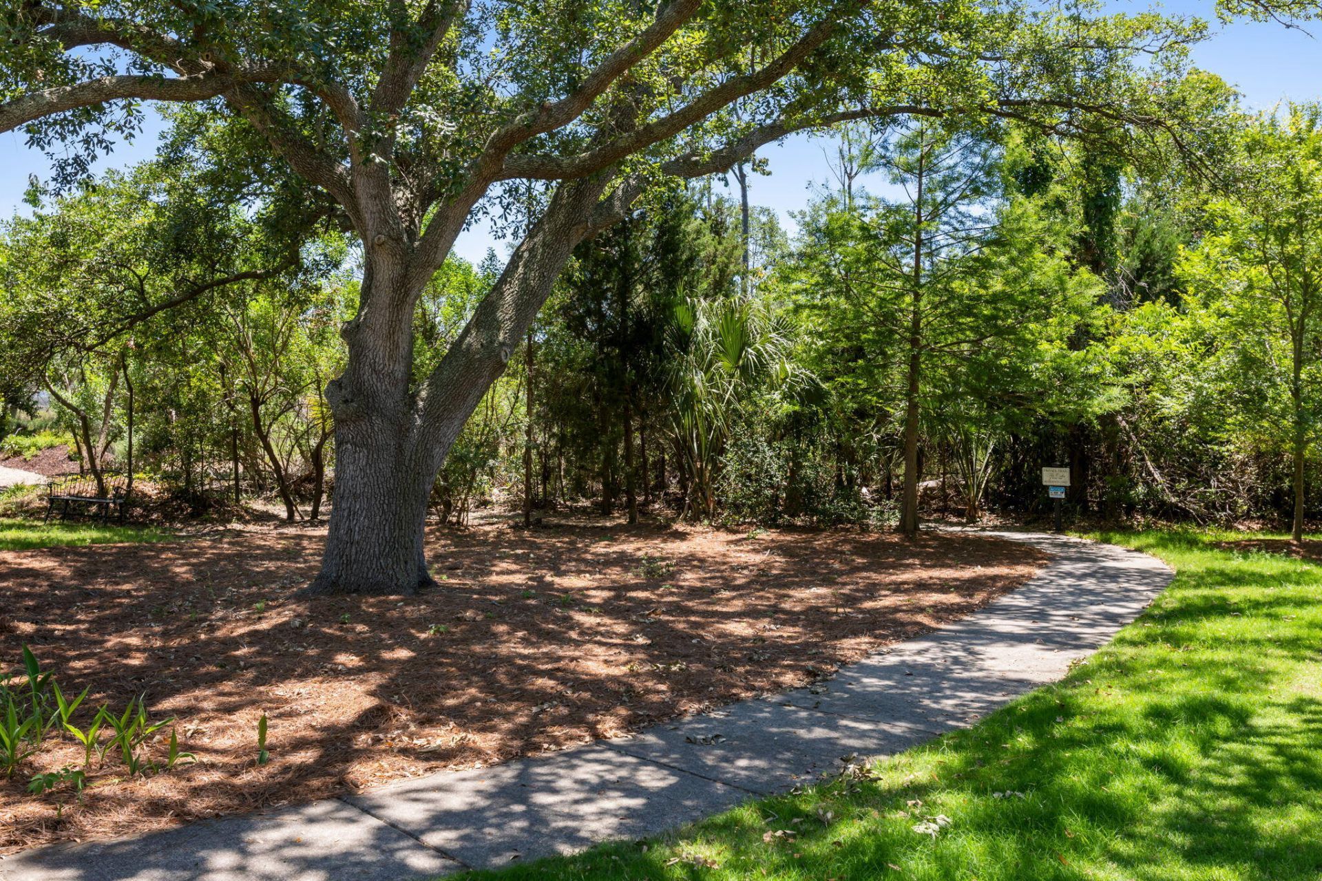 1525 Mossy Branch Way Photo 31