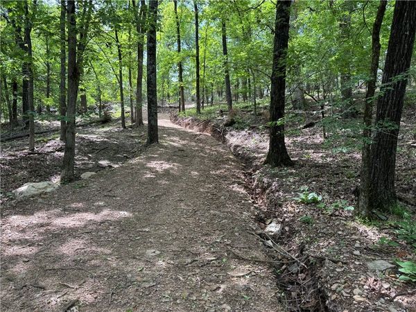 Tract 1a Downing Road, Elkins, AR 72727
