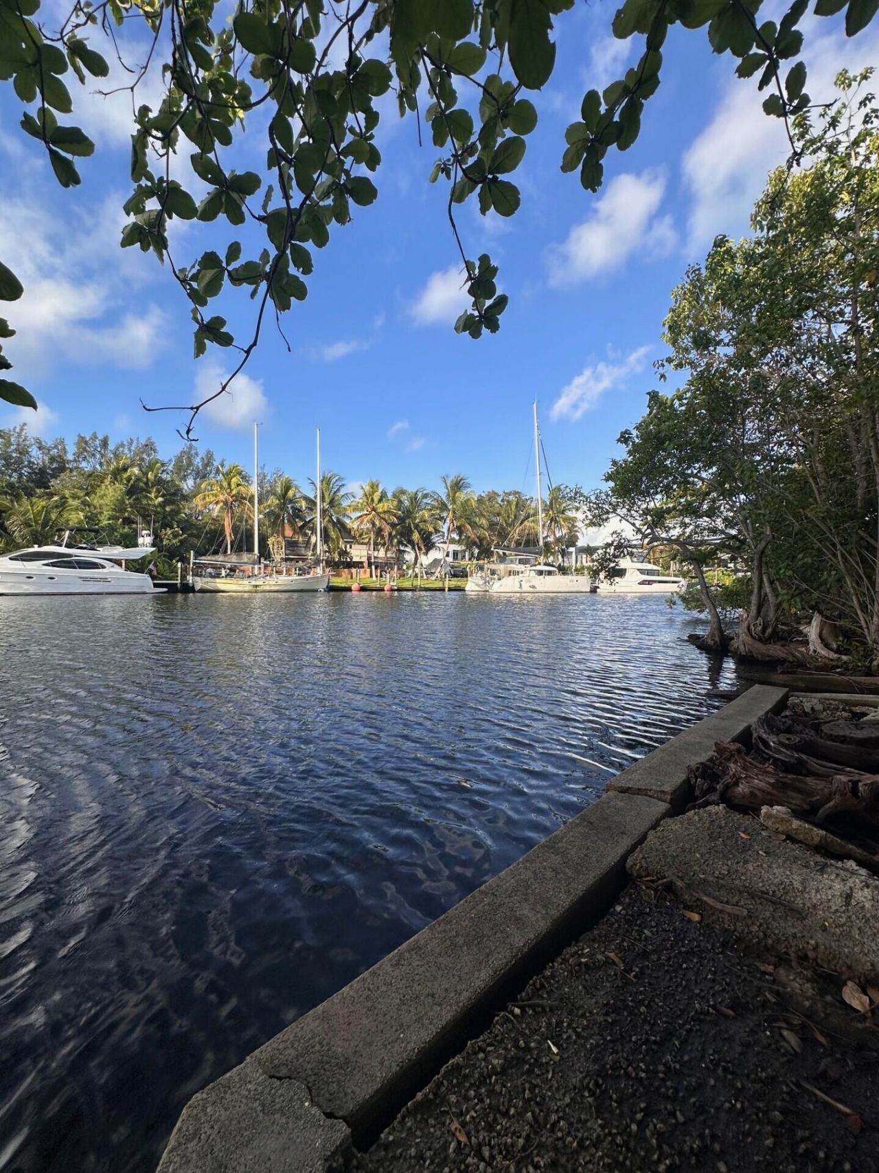 232 SW 14th Avenue, Fort Lauderdale, FL 33312 Photo
