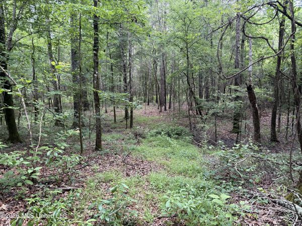 River Ridge Road, Terry, MS 39170