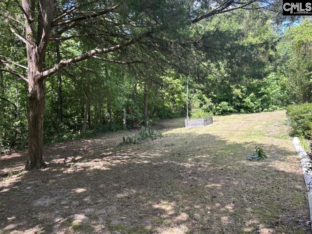 124 Saint George Trail  Photo 8