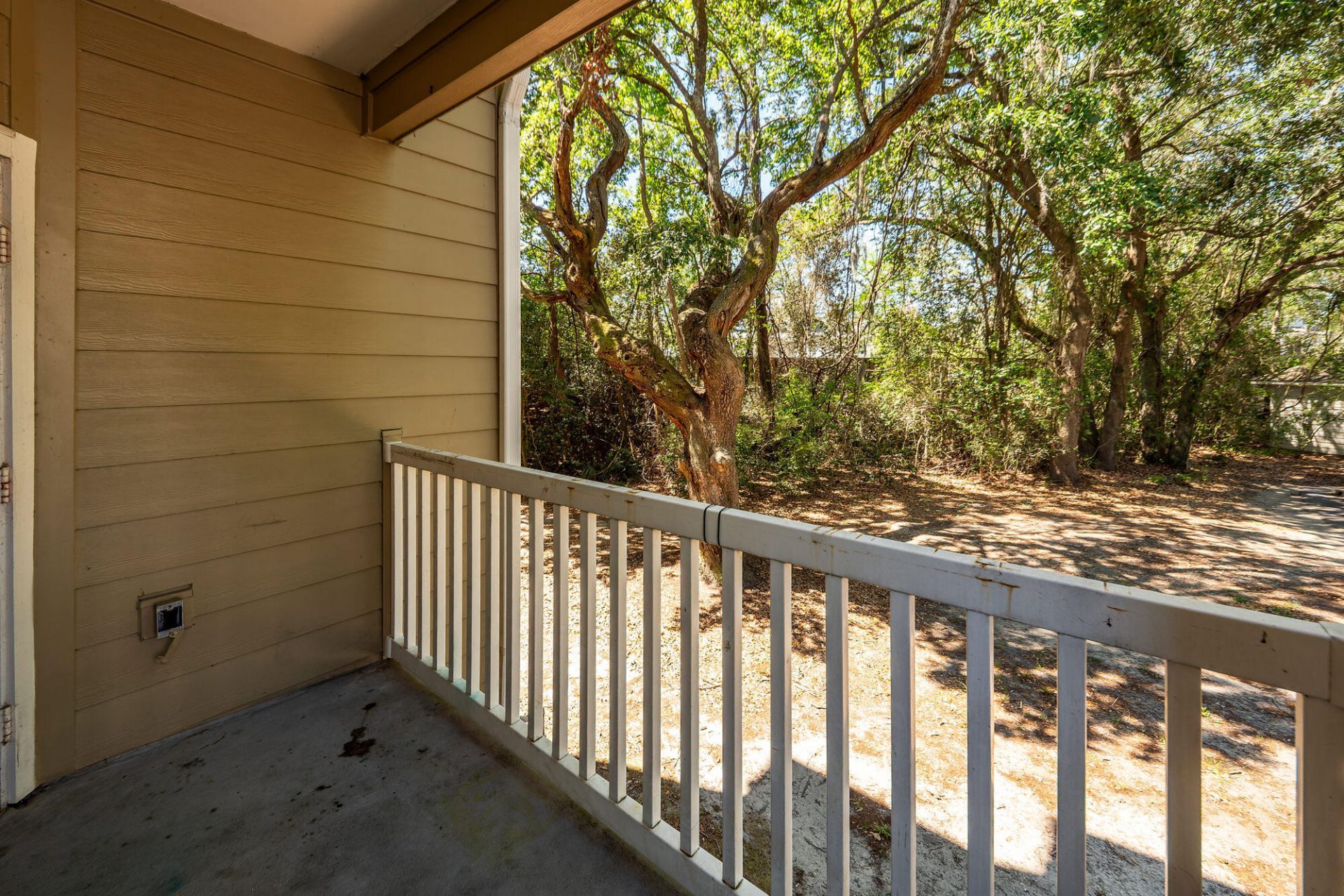 700 Daniel Ellis Drive Photo 16