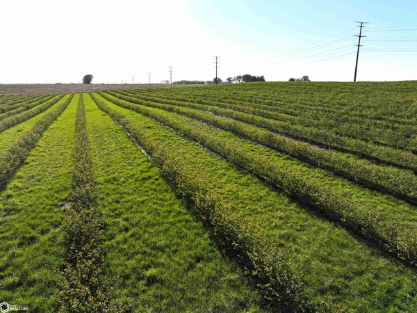 6050 Duffy Road, Fairbank, IA 50629