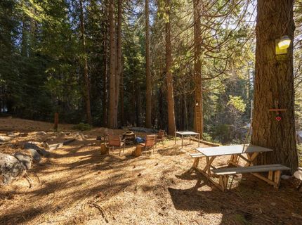 798 Blue Canyon, Blue Canyon, CA 95701 Photo