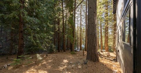 798 Blue Canyon, Blue Canyon, CA 95701 Photo