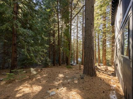 798 Blue Canyon, Blue Canyon, CA 95701 Photo
