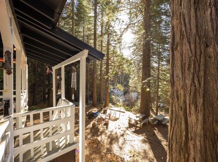 798 Blue Canyon, Blue Canyon, CA 95701 Photo