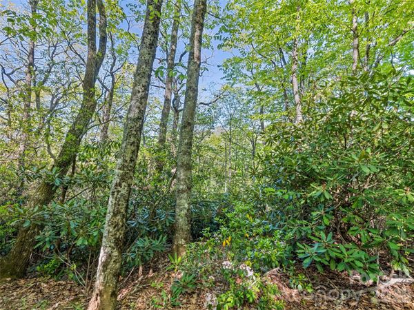 #19 Sleepy Hollow Lane , Waynesville, NC 28786
