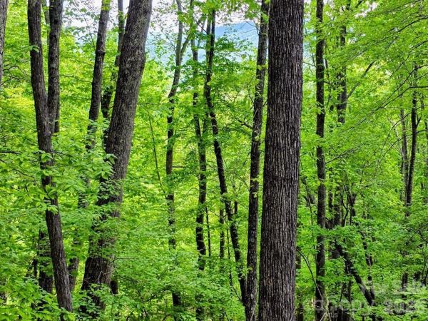 00 Hickory Springs Road , Burnsville, NC 28714