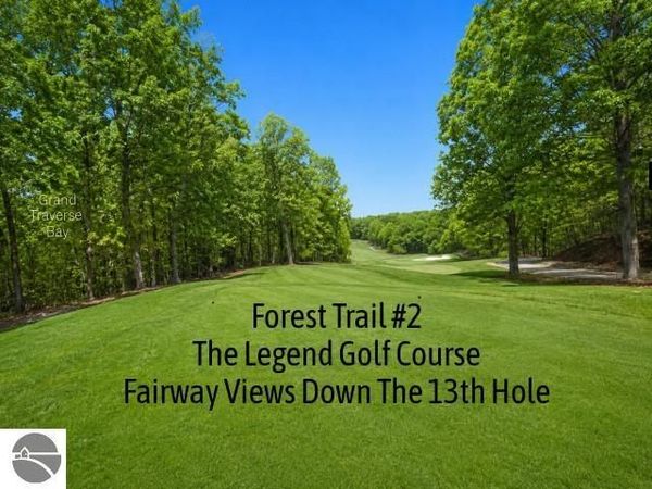 2 Forest Trail, Bellaire, MI 49615