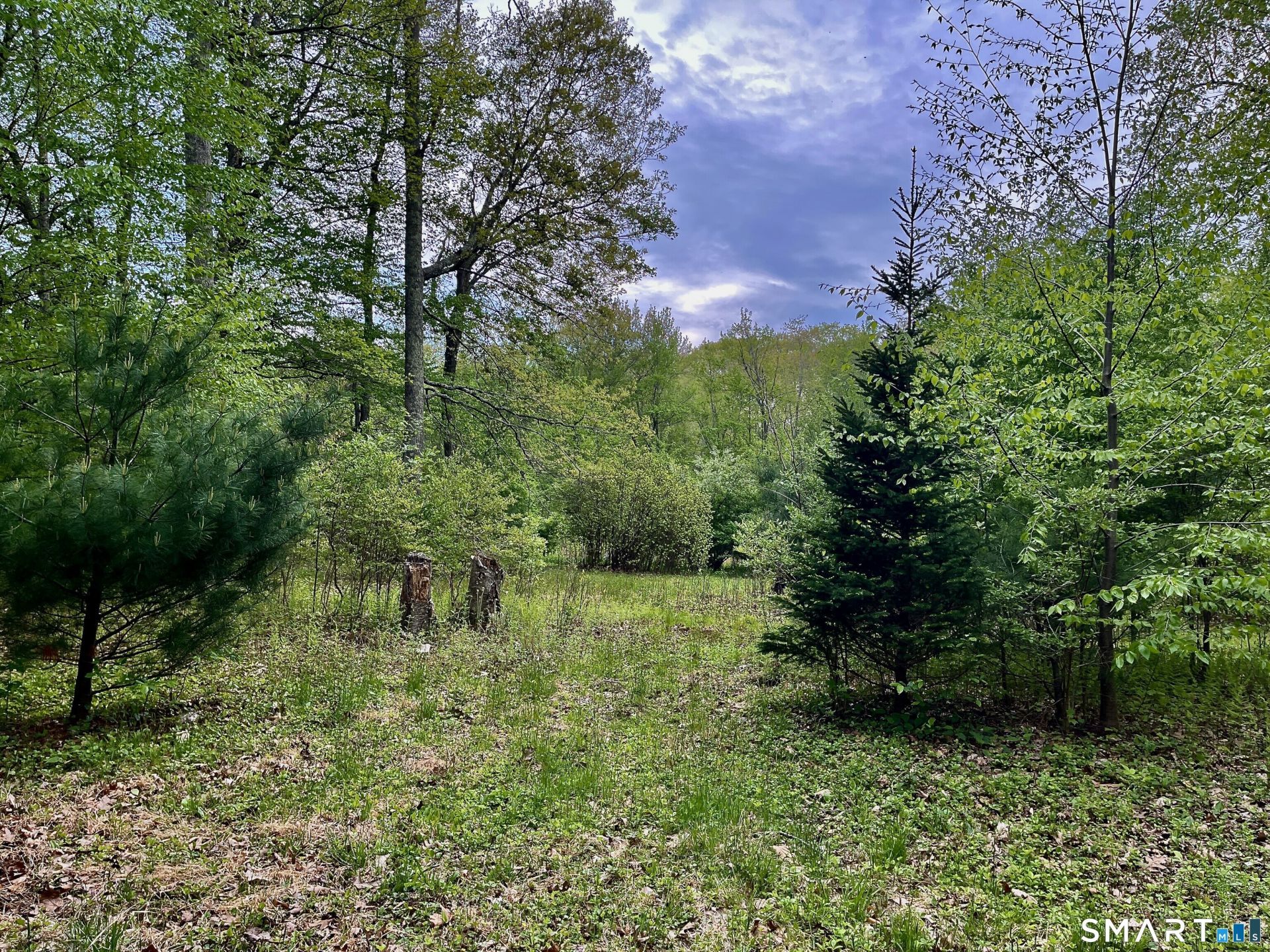 Meadow Brook, Hebron, CT 06231 Main Photo
