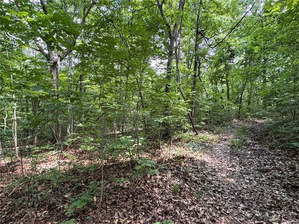 TBD NC 1000 , Ponca, AR 72670