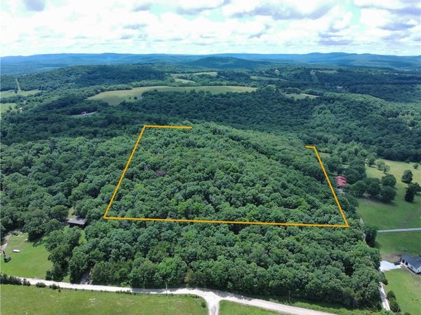 Tract 3a & 2a Downing Road , Elkins, AR 72727