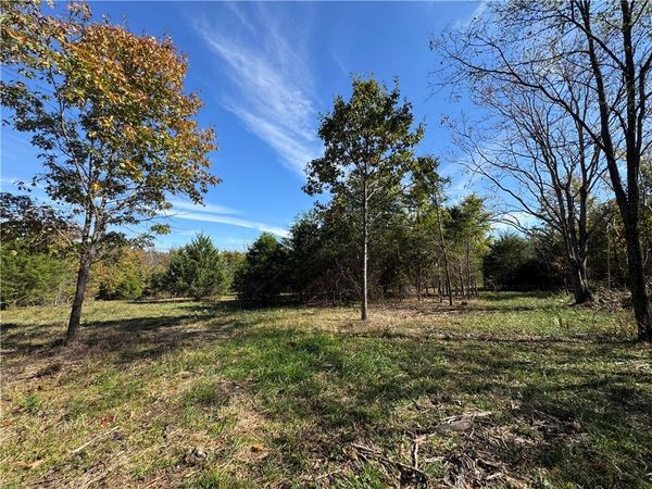Tract 3a & 2a Downing Road , Elkins, AR 72727