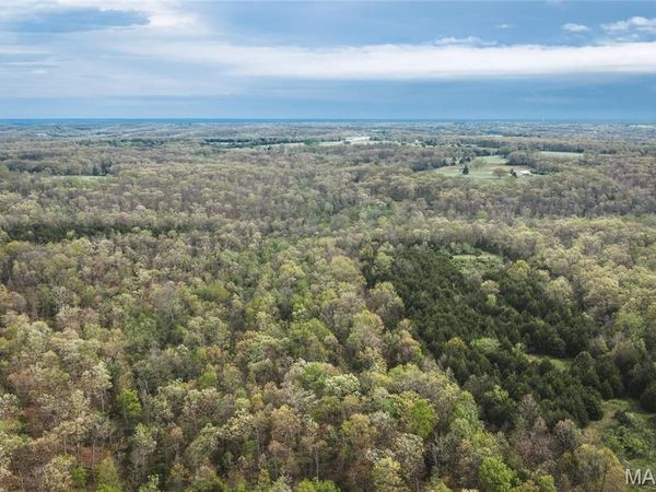Tract 2 Cleavesville Road , Bland, MO 65014
