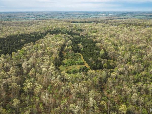 Tract 3 Cleavesville Road , Bland, MO 65014