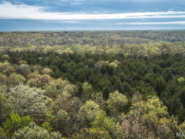 Tract 4 Cleavesville Road , Bland, MO 65014