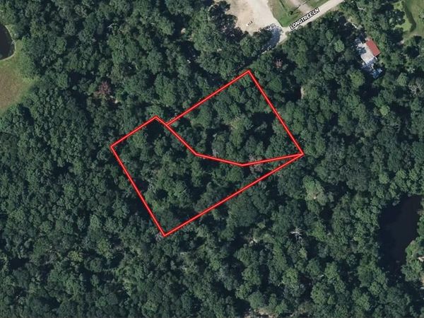 11760 Long Tree Lane , Cut and Shoot, TX 77303