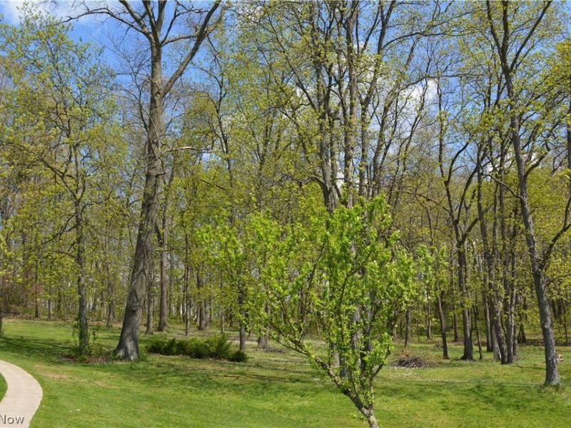 2363 Tabor Ridge Road NE, New Philadelphia, OH 44663 Photo 10