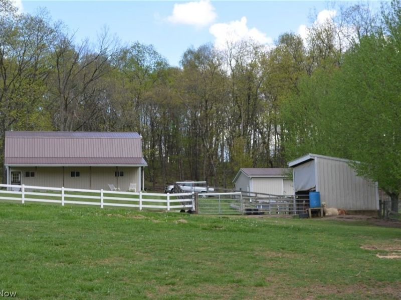 2363 Tabor Ridge Road NE, New Philadelphia, OH 44663 Photo 8