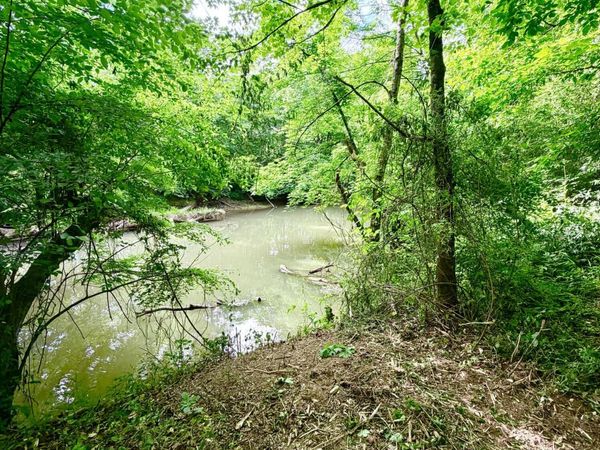 811 Trigonia Rd, Maryville, TN 37801