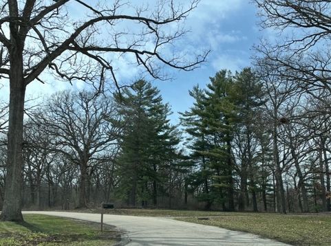 Main Photo