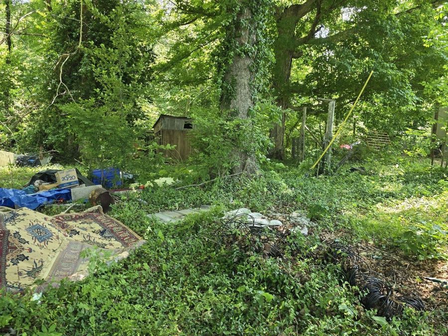 Property Image 38