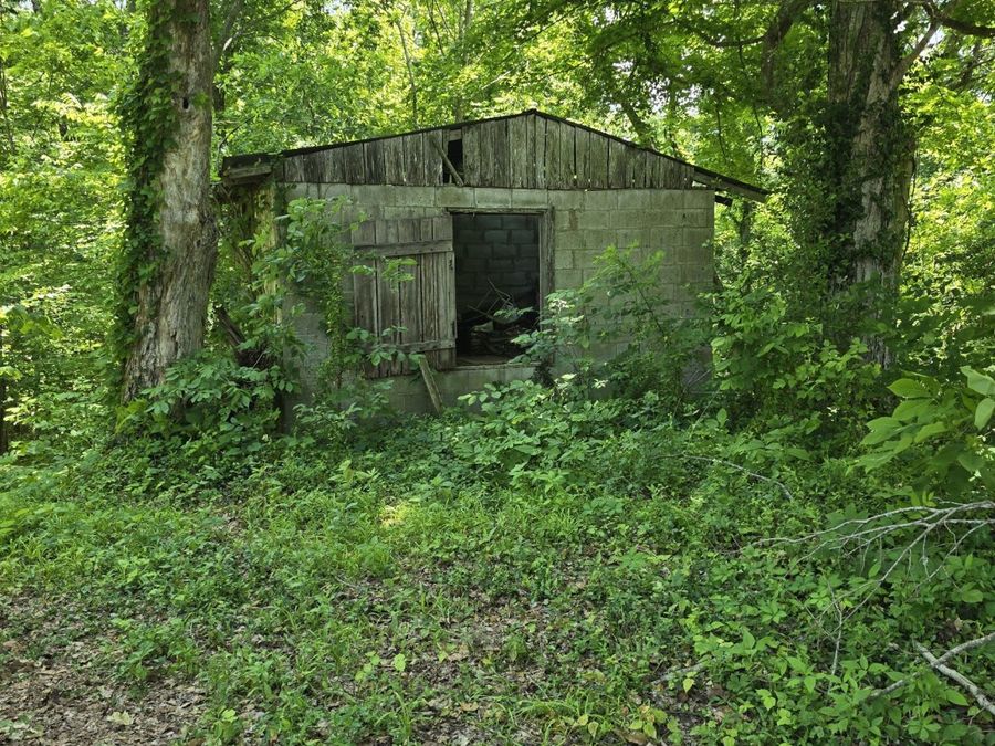 Property Image 41