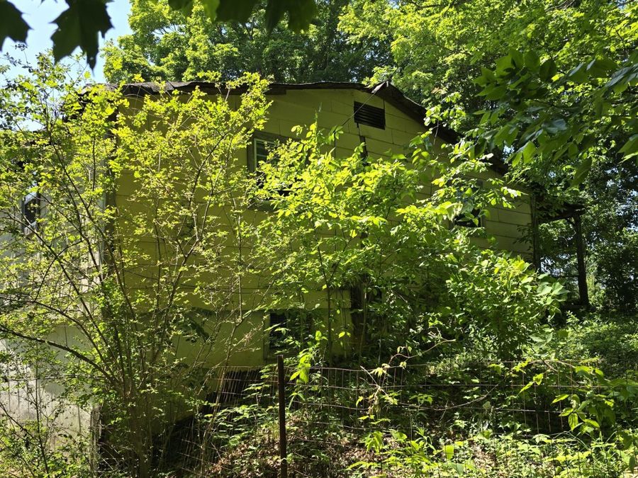 Property Image 47