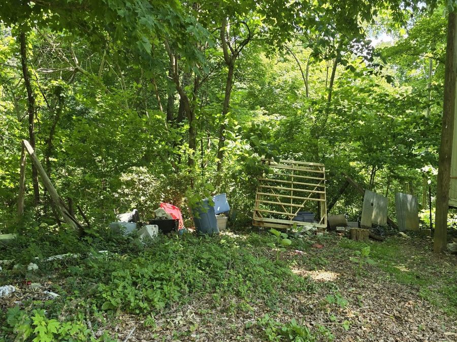 Property Image 49